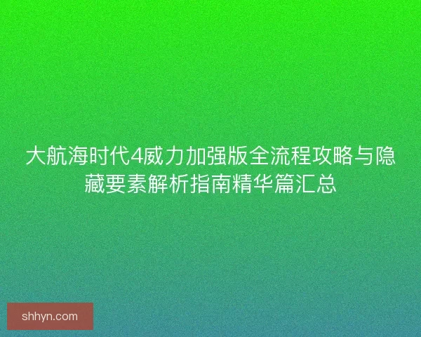 大航海时代4威力加强版全流程攻略与隐藏要素解析指南精华篇汇总