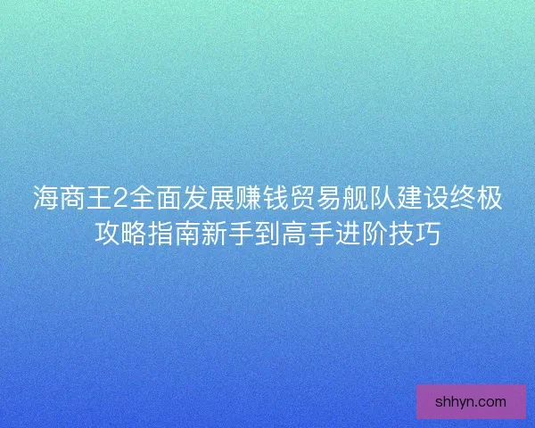 海商王2全面发展赚钱贸易舰队建设终极攻略指南新手到高手进阶技巧